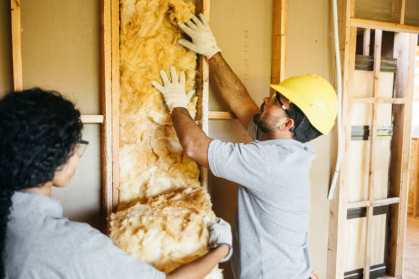 Best Insulation Replacement Services  in Stanford, CA
