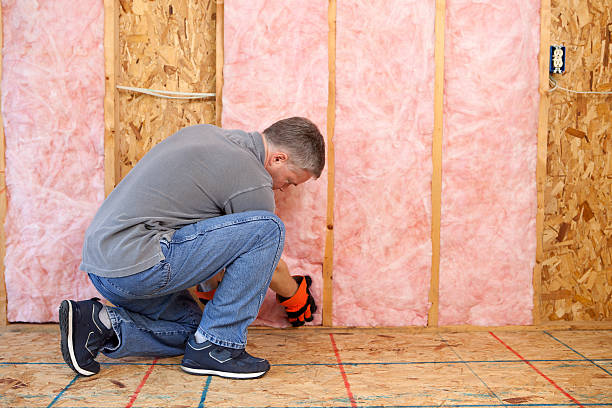 Best Insulation Contractor Near Me  in Stanford, CA